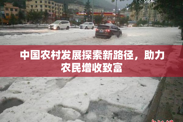 中国农村发展探索新路径，助力农民增收致富
