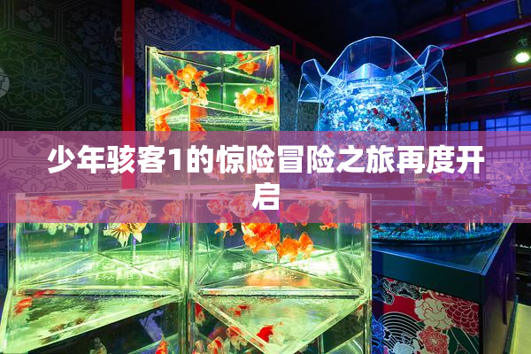 少年骇客1的惊险冒险之旅再度开启