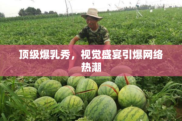 顶级爆乳秀，视觉盛宴引爆网络热潮