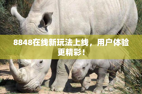 8848在线新玩法上线，用户体验更精彩！