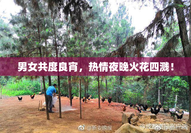 男女共度良宵，热情夜晚火花四溅！