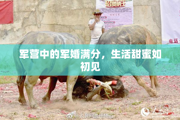 军营中的军婚满分，生活甜蜜如初见