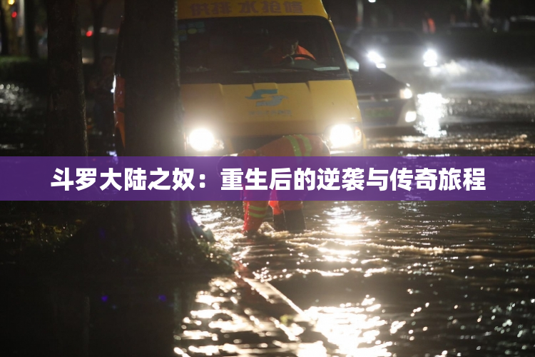 斗罗大陆之奴：重生后的逆袭与传奇旅程