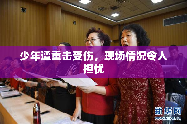 少年遭重击受伤，现场情况令人担忧