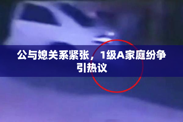 公与媳关系紧张，1级A家庭纷争引热议