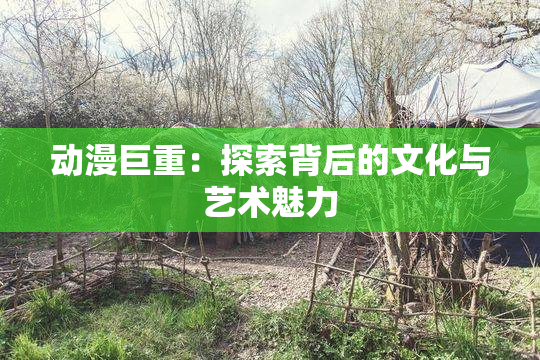 动漫巨重：探索背后的文化与艺术魅力
