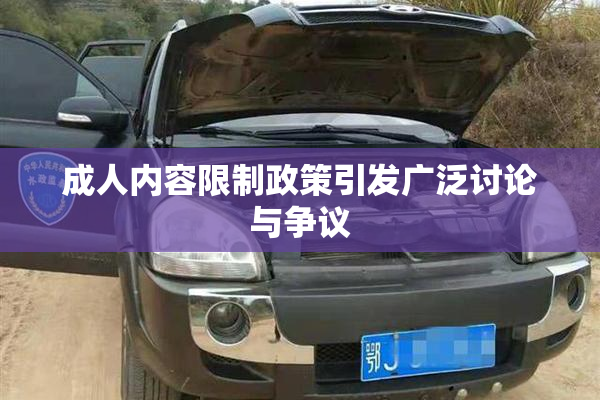 成人内容限制政策引发广泛讨论与争议