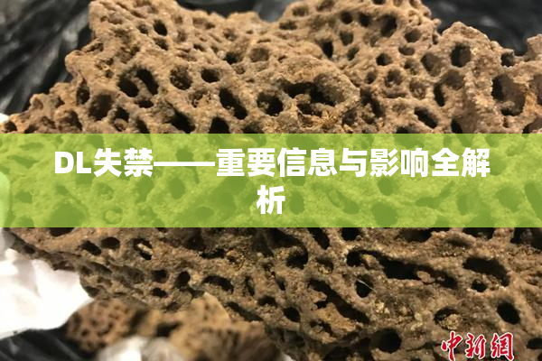 DL失禁——重要信息与影响全解析