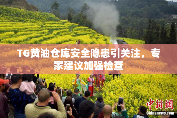 TG黄油仓库安全隐患引关注，专家建议加强检查
