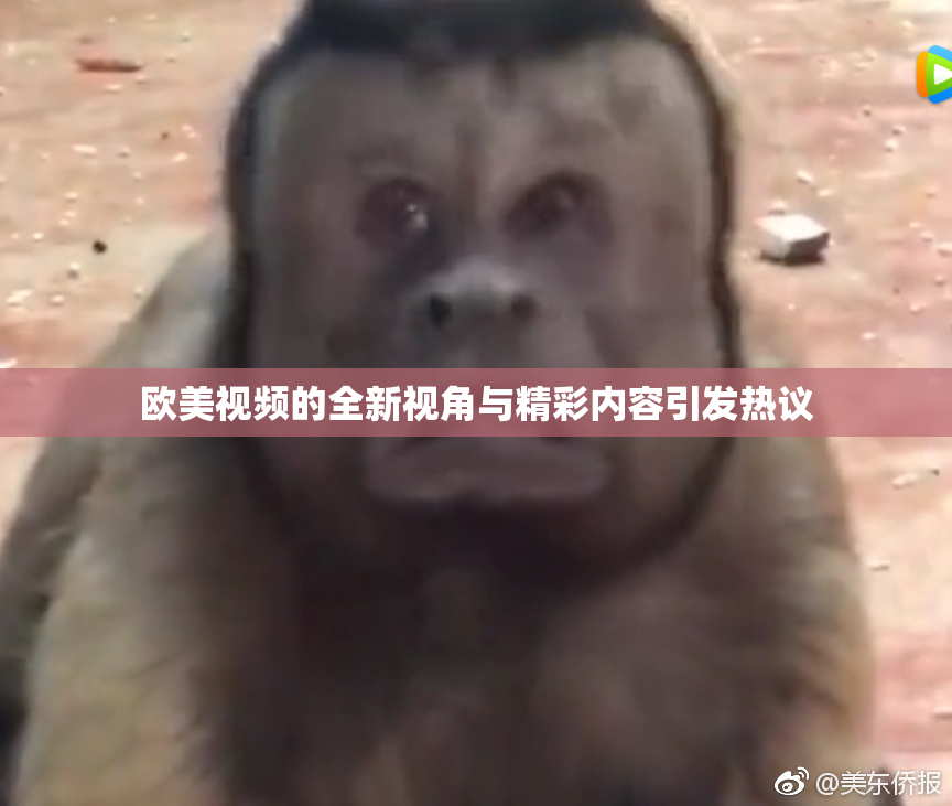 欧美视频的全新视角与精彩内容引发热议