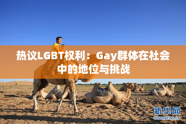 热议LGBT权利：Gay群体在社会中的地位与挑战