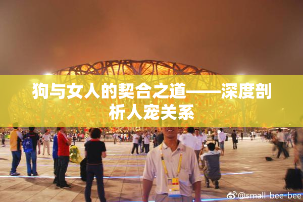 狗与女人的契合之道——深度剖析人宠关系