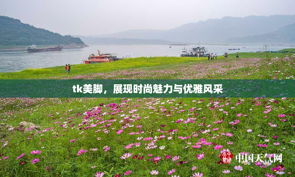tk美脚，展现时尚魅力与优雅风采