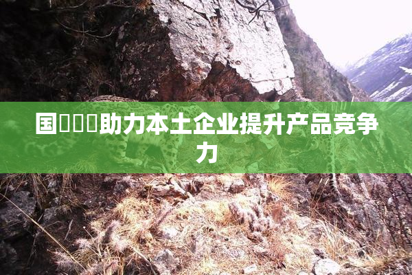 国產梱綁助力本土企业提升产品竞争力