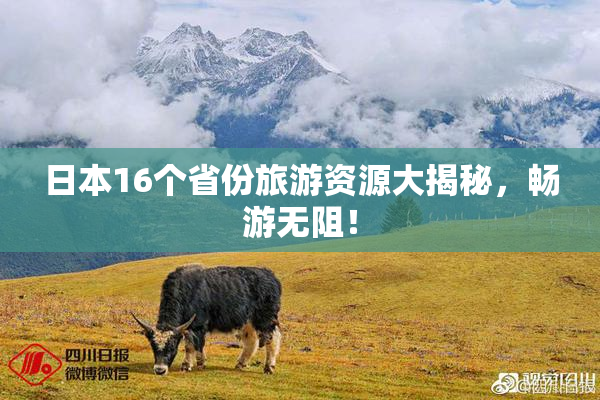 日本16个省份旅游资源大揭秘，畅游无阻！