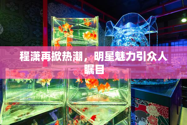 程潇再掀热潮，明星魅力引众人瞩目