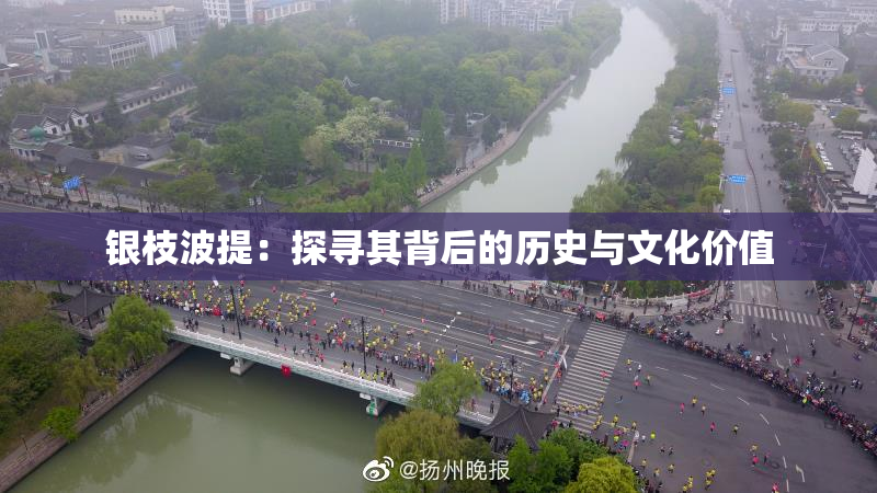 银枝波提：探寻其背后的历史与文化价值