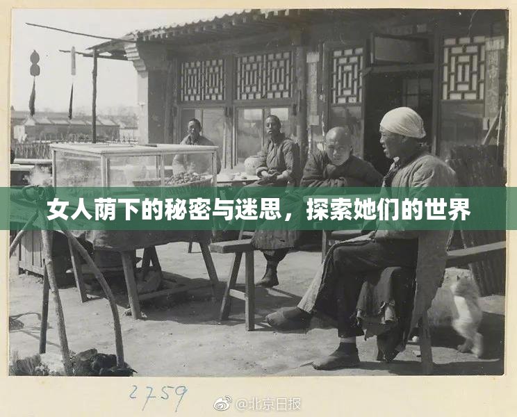 女人荫下的秘密与迷思，探索她们的世界