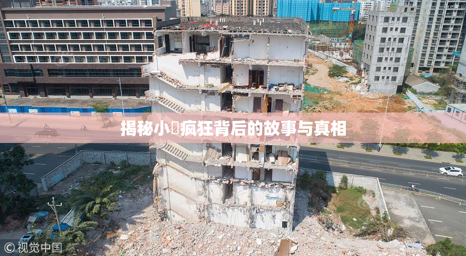 揭秘小泬疯狂背后的故事与真相