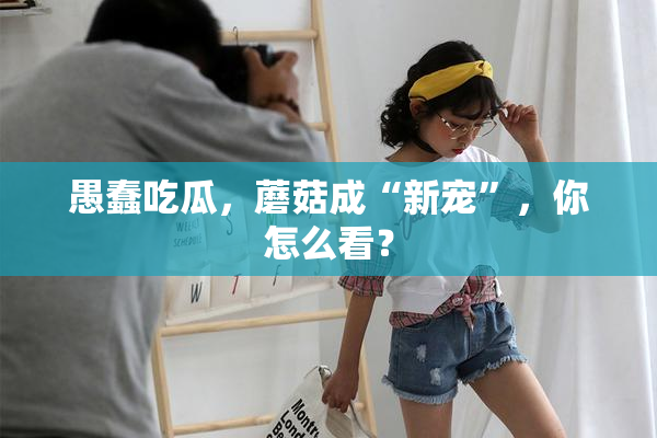 愚蠢吃瓜，蘑菇成“新宠”，你怎么看？