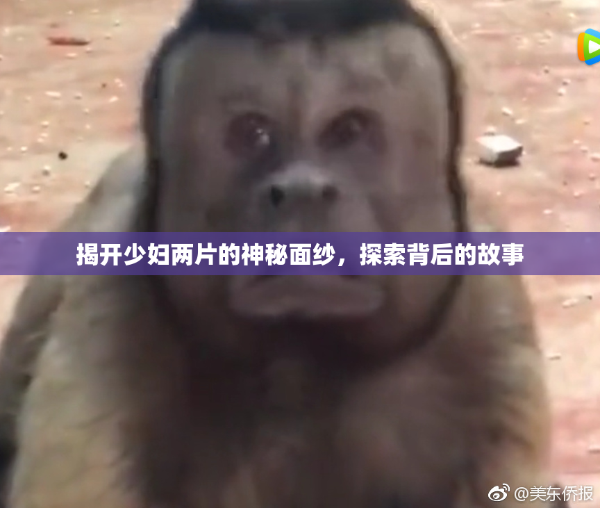 揭开少妇两片的神秘面纱，探索背后的故事