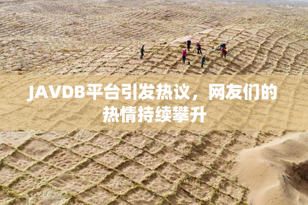 JAVDB平台引发热议，网友们的热情持续攀升