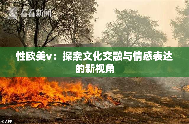 性欧美v：探索文化交融与情感表达的新视角