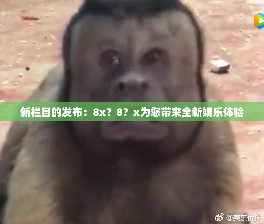 新栏目的发布：8x？8？x为您带来全新娱乐体验