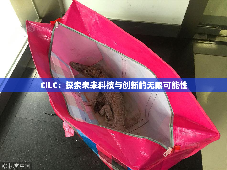CILC：探索未来科技与创新的无限可能性