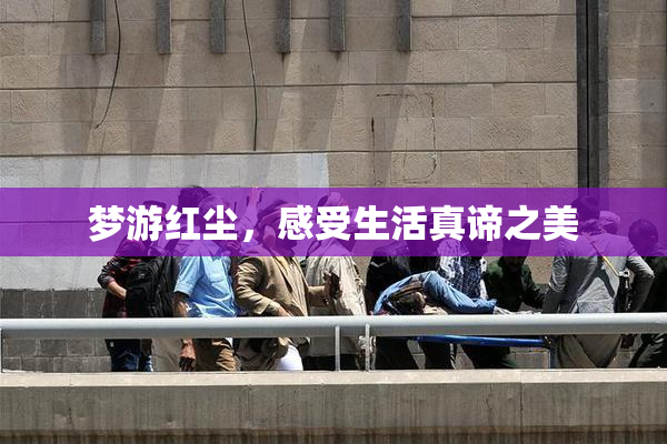 梦游红尘，感受生活真谛之美