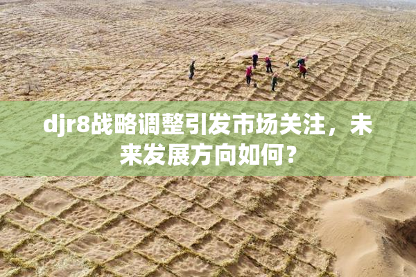 djr8战略调整引发市场关注，未来发展方向如何？