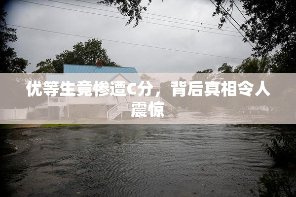 优等生竟惨遭C分，背后真相令人震惊