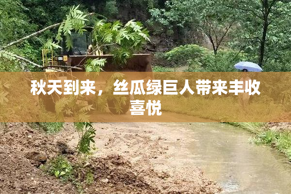 秋天到来，丝瓜绿巨人带来丰收喜悦