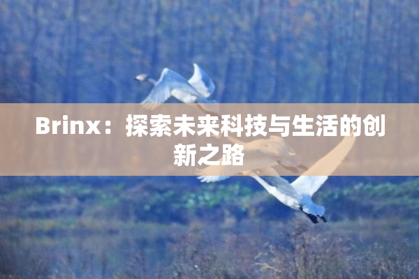 Brinx：探索未来科技与生活的创新之路