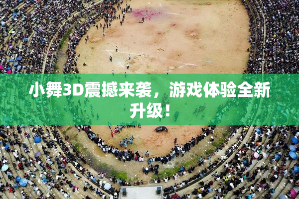 小舞3D震撼来袭，游戏体验全新升级！