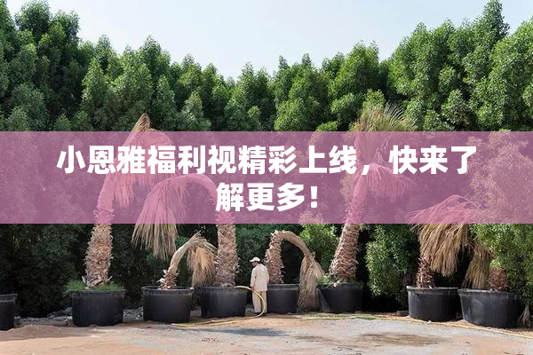 小恩雅福利视精彩上线，快来了解更多！