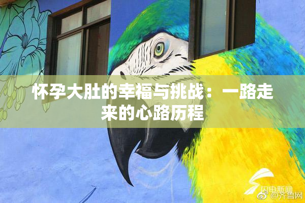 怀孕大肚的幸福与挑战：一路走来的心路历程
