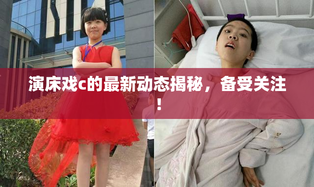 演床戏c的最新动态揭秘，备受关注！