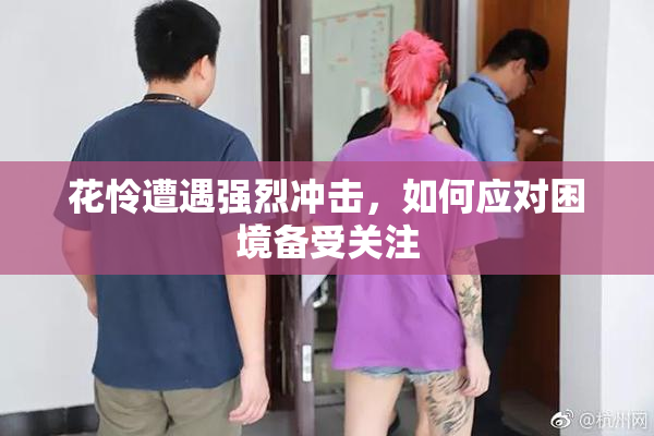 花怜遭遇强烈冲击，如何应对困境备受关注