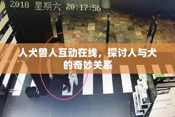 人犬兽人互动在线，探讨人与犬的奇妙关系