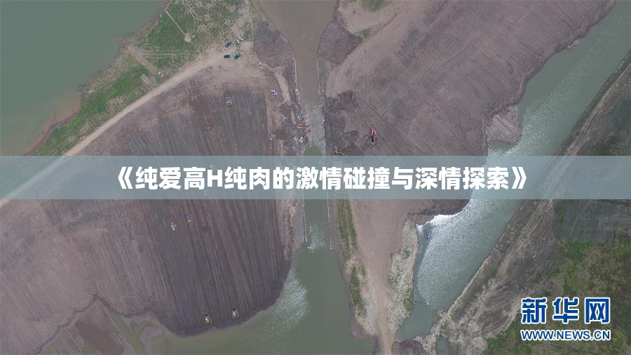 《纯爱高H纯肉的激情碰撞与深情探索》