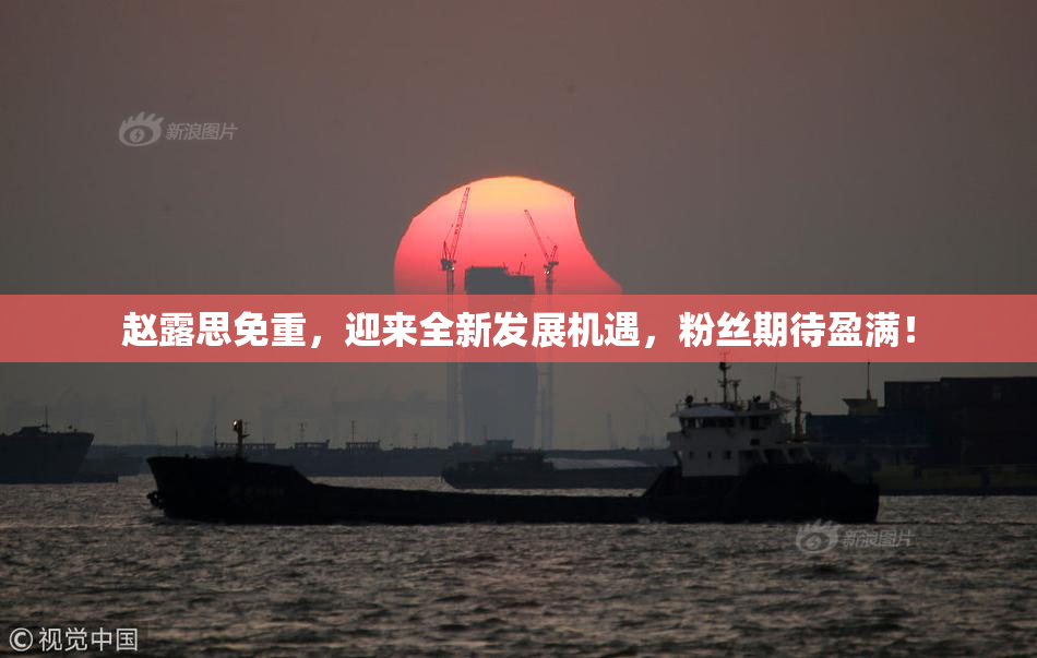 赵露思免重，迎来全新发展机遇，粉丝期待盈满！