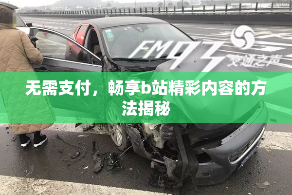 无需支付，畅享b站精彩内容的方法揭秘