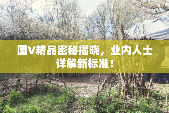 国V精品密秘揭晓，业内人士详解新标准！