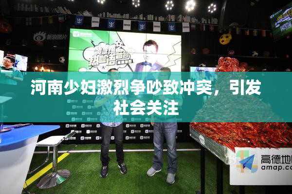 河南少妇激烈争吵致冲突，引发社会关注