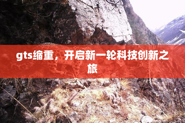 gts缩重，开启新一轮科技创新之旅