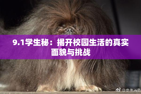 9.1学生秘：揭开校园生活的真实面貌与挑战