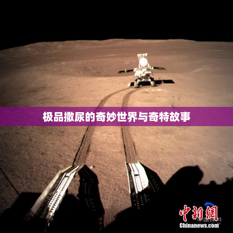 极品撒尿的奇妙世界与奇特故事
