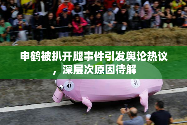 申鹤被扒开腿事件引发舆论热议，深层次原因待解