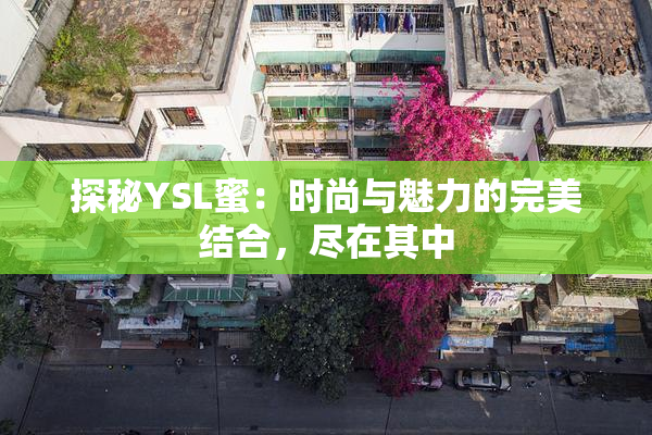 探秘YSL蜜：时尚与魅力的完美结合，尽在其中